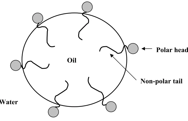 Figure 1.4:  Emulsifier interaction at an oil/water interface.  