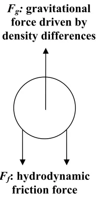 Figure 1.7:  Description of Fg and Ff forces that drive stokes law 