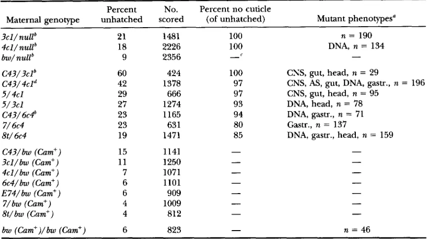 TABLE 4 