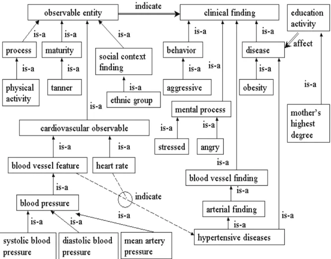 Figure 1: A Fragment of Semantic Network Used in Our Case Study