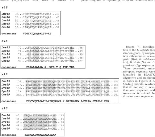 FIGURE 'i.-IIdentifica- gns/~r gn'n~shnroi consensus These consened, unin- chorion genes, as Shading indicates residues that alignments and  are  shown than one sequence, and idcntified ison with  known tion (Cc) terrupted segments were (Lh), of the C