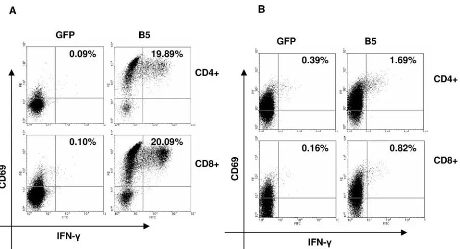 FIG. 4. Comparison of CD4�electroporated with mRNA from B5 or GFP (negative control). (A) Donor 1 (vaccinated 1 month before)