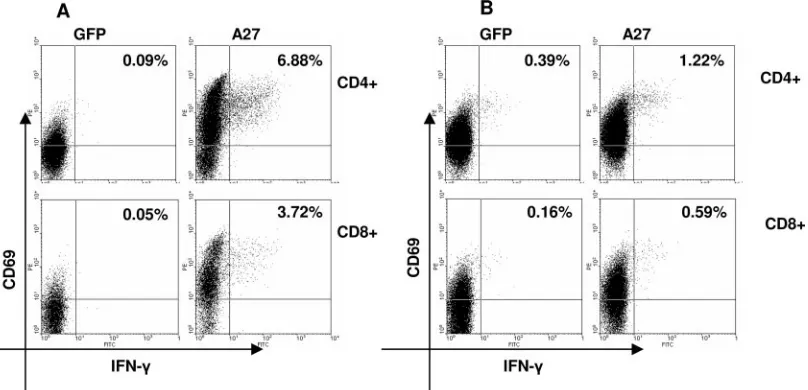FIG. 7. Comparison of CD4�electroporated with mRNA from A27 or GFP (negative control)