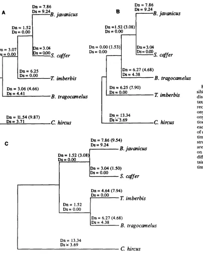 FIGURE 6.-Three sible species trees 