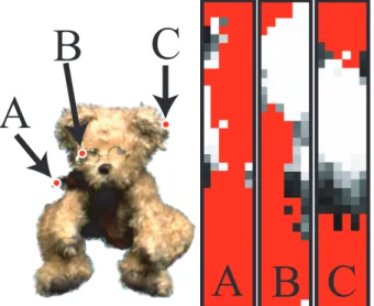 Figure 5 shows the observed alpha values for three surface points on an object for all 6 × 36 viewpoints