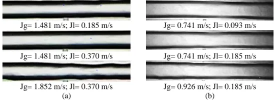 Fig. 5 The plug flow patterns for (a) the 3 mm x 3 mm channel and (b) the 3 mm x 6 mm channel 