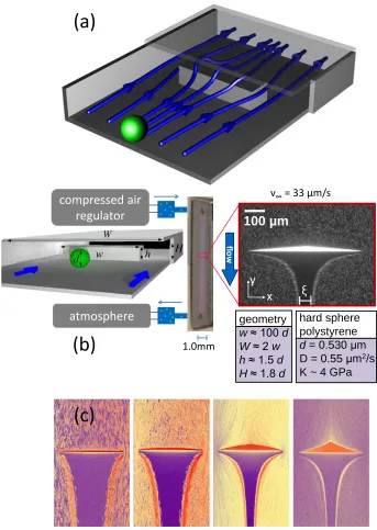 Figure 1.1 Overview of Apparatus(a) Schematic diagram of Hele-Shaw microﬂuidic device geometry and streamlines