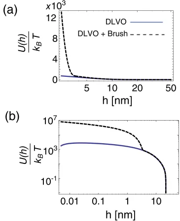Figure 1.4 Interparticle PotentialInteraction potential between two spherical particles using DLVO theory and de Gennes theory forthe sterically stabilizing surfactant coating