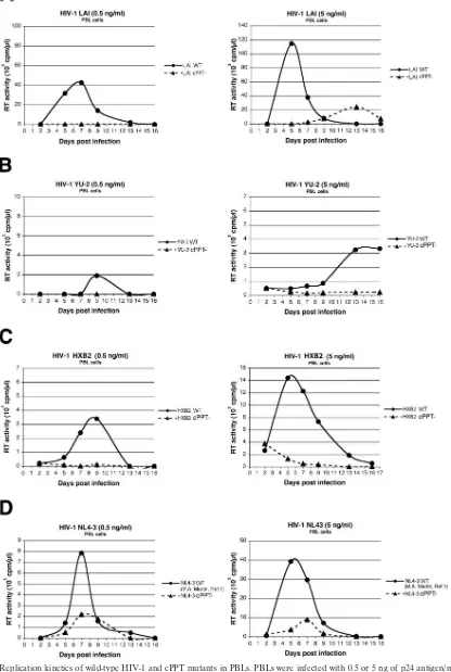 FIG. 3. Replication kinetics of wild-type HIV-1 and cPPT mutants in PBLs. PBLs were infected with 0.5 or 5 ng of p24 antigen/ml (left andright panels, respectively) from wild-type or cPPT mutant HIV-1 LAI (A), YU-2 (B), HXB2 (C), or NL4-3 (D)
