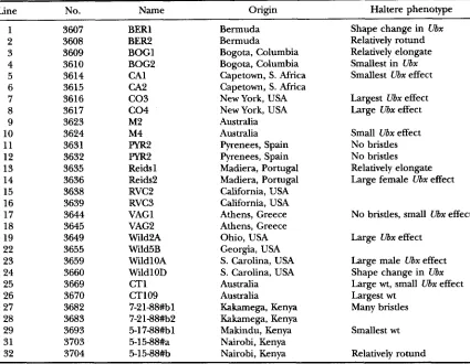 TABLE 1 