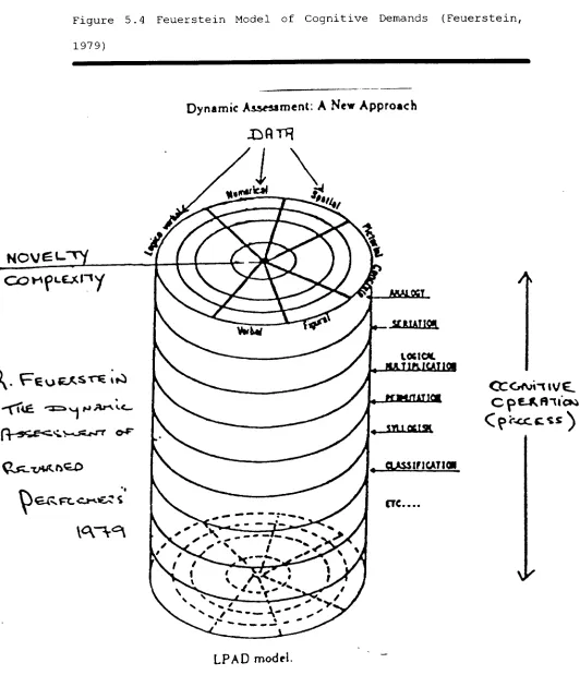 Figure 5.4 Feuerstein Model of 