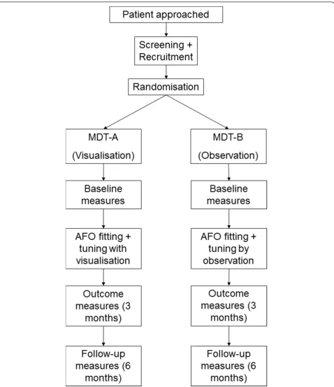 Figure 1 Flow diagram of trial design showing intervention (visualisation) and non-intervention (observation) arms