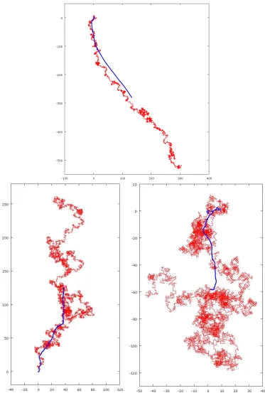 Figure 2: Simulation of 104transient (a limiting direction. In theTheorem 2.2 shows that in the twothe three pictures have steps of the random walk and its centre of mass (thick line), asdescribed in Example 1, with d = 2, ρ = 0.1, ε0 = 0.01, and diﬀerent 