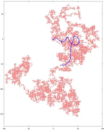Figure 1: Simulation of 4 × 104 steps of symmetric SRW starting at the origin of Z2 andits centre of mass process (thick line)