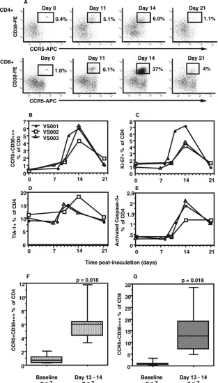FIG. 2. Kinetics of changes in CD4�(E) spontaneously apoptotic (activated caspase-3CCR5CD38respectively