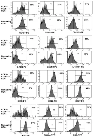 FIG. 5. Detailed phenotype of CCR5�day 14. For each marker, a pair of histograms is shown: the upper histogram is gated on CCR5is gated on remaining CD4CD38��� CD4� T cells at day 14