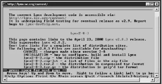 Figure 1.2. The Opera Internet browser