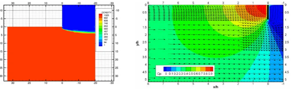 Figure 3 CFD computation of Local Flow Field around Interceptor 