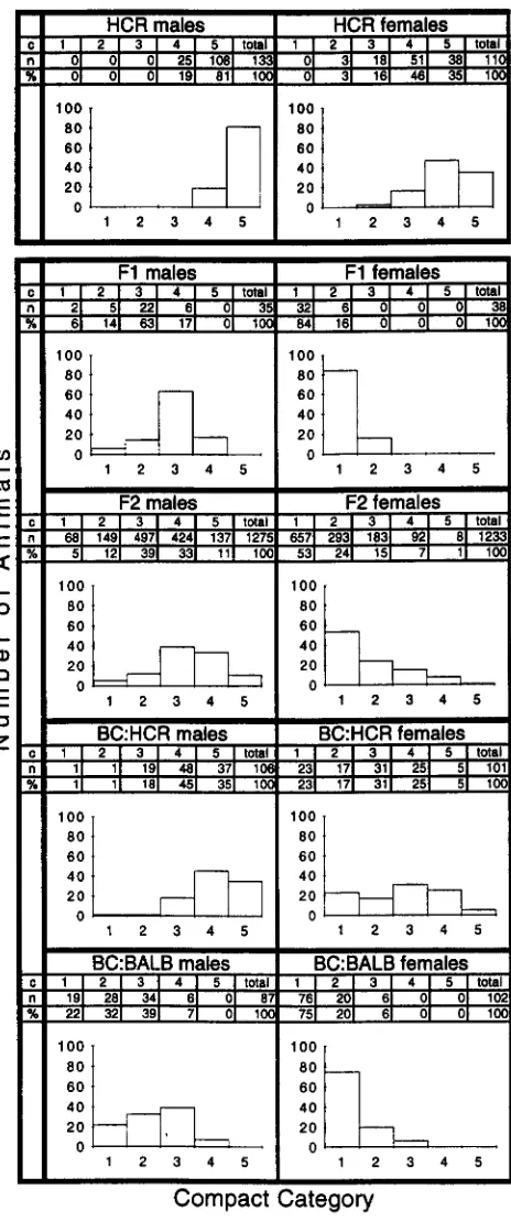 FIGURE 3,"Distribution of Compact  phenotypes  in HCR subline  pooled over generations 13-16, F1 (HCR X BALB/ 