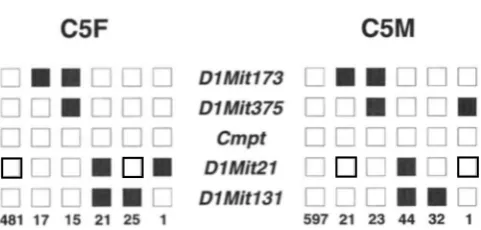 FIGURE 5.-Linkage female-parent allele. individual selective genot)ping  and  haplotype analysis in number HCI the mapping of the Cmpt gene  through a X BALB/c Cross-2 F2 population