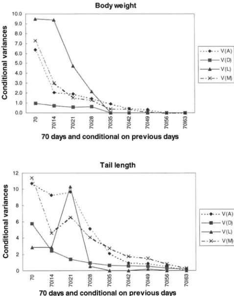 FIGURE 6.-Conditional and the  observation variances at  70 days of age given at different previous time for body weight tail length of mice