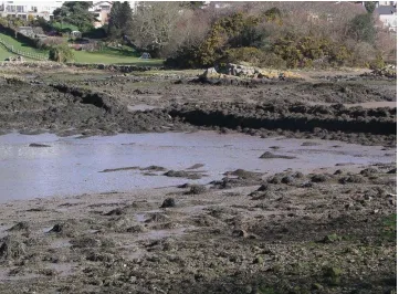 Figure 1.4 Stone Fish Weir on Menai Strait 