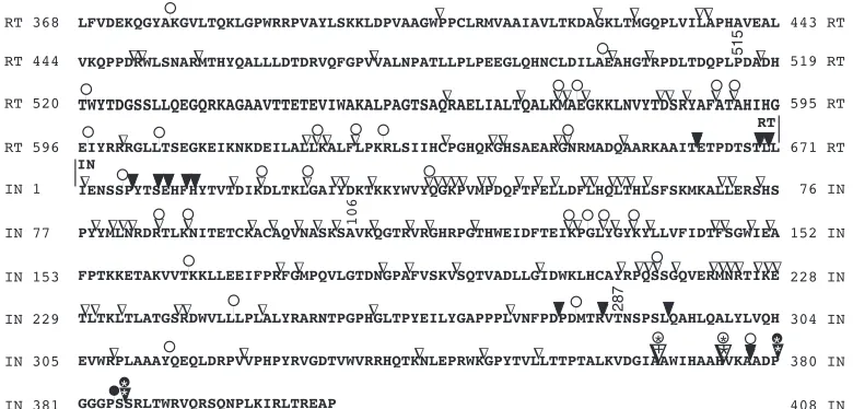 FIG. 2. Functional mapping of the linker insertions on the MuLV poleffects on retroviral viability.insertions
