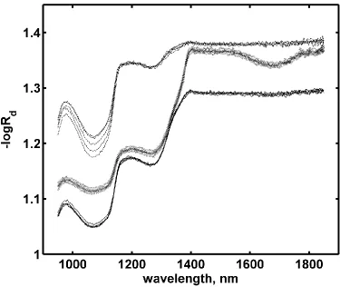 Figure 1. Diffuse reflectance spectra taken during growth phase at different sample thicknesses (2mm, dotted line, 4mm solid line, and 10mm dashed line)