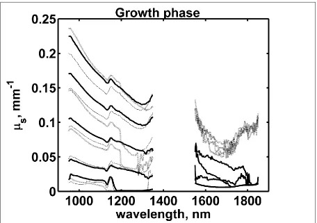 Figure 7. Estimated bulk scattering coefficients during growth phase at different samples thickness (2mm, dotted line, 4mm solid line, and 10mm dashed line)