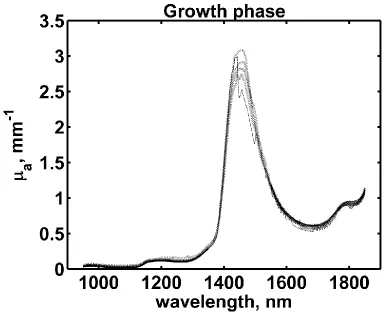 Figure 10. Estimated bulk absorption coefficients during the growth phase of the cultivation and at different samples thicknesses (2mm, dotted line, 4mm solid line, and 10mm dashed line)