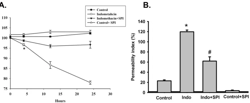 Figure 2. Effect of Cobiprostone (SPI-0811) on indomethacin-induced decrease in TER and 