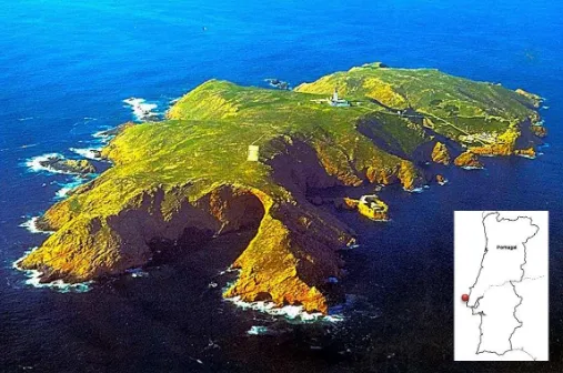 Figure 1 Berlengas Island with insert showing approximate geographic location 