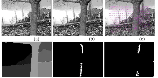 Fig. 4:(d)                                       (e)                                     (f)  (a, b) two consecutive frames from „Flower Garden‟ sequence; (c) The optical flow of (a); (d) layered representation of objects in (a); (e) the occlusion map from