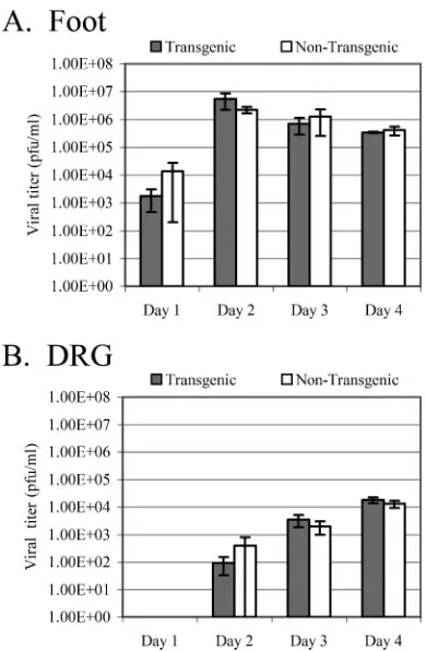 FIG. 7. Evaluation of the LAT transgene’s effect on acute replicationof HSV-1 in vivo