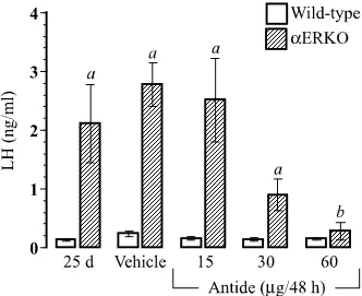 Figure 2.6. Ribonuclease protection assay (RPA) for markers of ovulation in immature wild-type and aERKO ovaries
