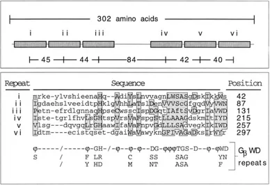 TABLE 5 Mitotic  recombination-proficiency of redl mutants 