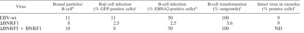 TABLE 1. Analysis of BNRF1 mutant infection phenotypea