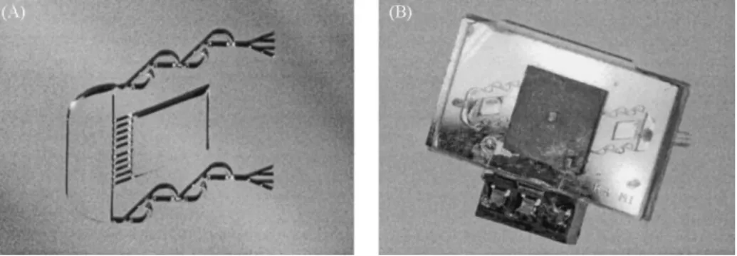 Fig. 1. Photographs of completed devices: (A) the compliance structure in between the outlet valves of a NMPV pump; (B) a completed NMPV micropump with integrated compliance structure.