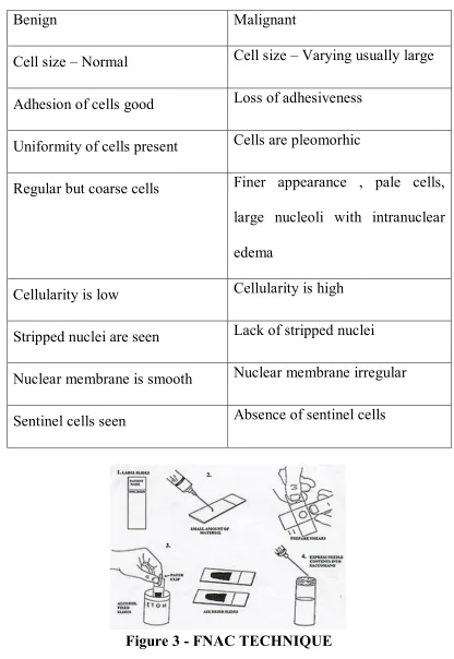Figure 3 - FNAC TECHNIQUE 