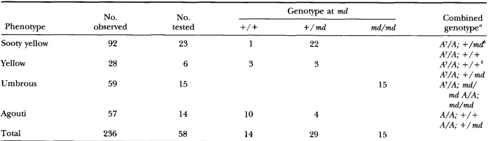 TABLE 3 