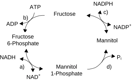 Fig. 2. Reactions involved in the mannitol cycle in imperfect fungi. Enzymes involvedinclude a) mannitol-1-phosphate dehydrogenase , b) hexokinase, c) mannitoldehydrogenase, and d) mannitol-1-phosphate phosphatase.