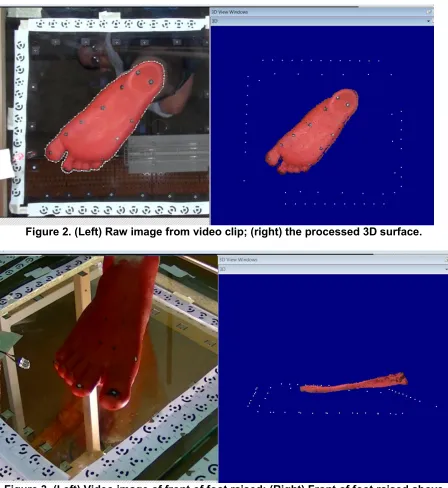 Figure 3. (Left) Video image of front of foot raised; (Right) Front of foot raised above glass-top