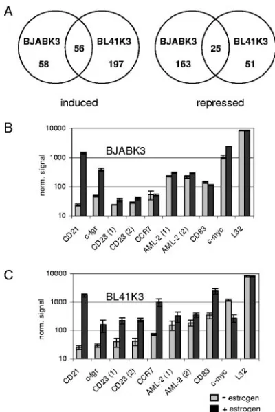 FIG. 1. Activation of EBNA-2 in BJABK3 or BL41K3 causes theinduction or repression of 550 probe sets