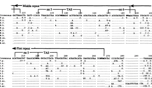 FIGURE 2.-Best given Ma, Msu, conserved sequences identified in humans, cows, pig, rat and mouse