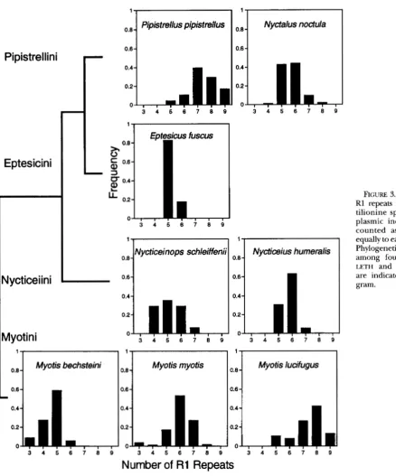 FIGURE S.-Frequency R1 repeats  in  eight  vesper- 