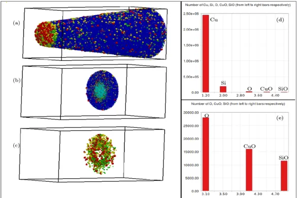 FIG. 2:  Spatial distribution and histogram of all elements and only the oxidized elements in a  small cross-sectional clipped region at z=50nm are shown