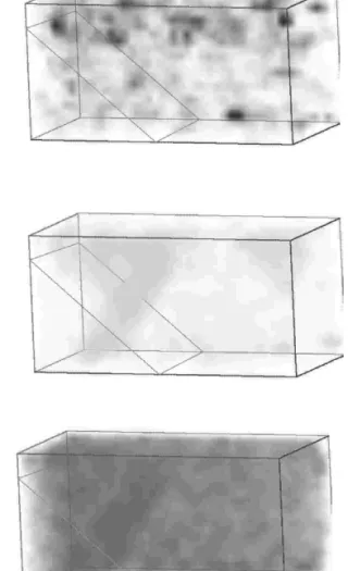 Fig. 3. 30 at.% Mo isooncentration surface for the same sample in Fig. 2. Visualization of the isoconcentration surface highlights shapes but is sensitive only to concentrations near the threshold