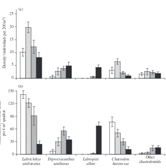 Fig. 1. Comparison of abundance and importance to corallivory of coral-feeding wrasses and butterﬂyﬁshesin Kimbe Bay
