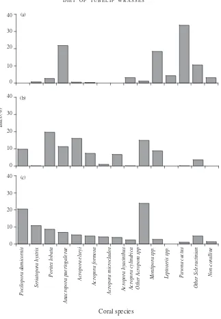 Fig. 2. Per cent consumption of main coral prey for three species of corallivorous wrasse (a) Labropsis alleni(total bites = 2378), (b) Labrichthys unilineatus (total bites = 4577) and (c) Diproctacanthus xanthurus(total bites = 2708).