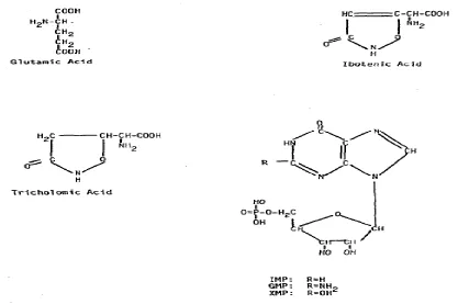 Figure 1.4 Example structures of nucleotides that enhance savory flavors and salty taste